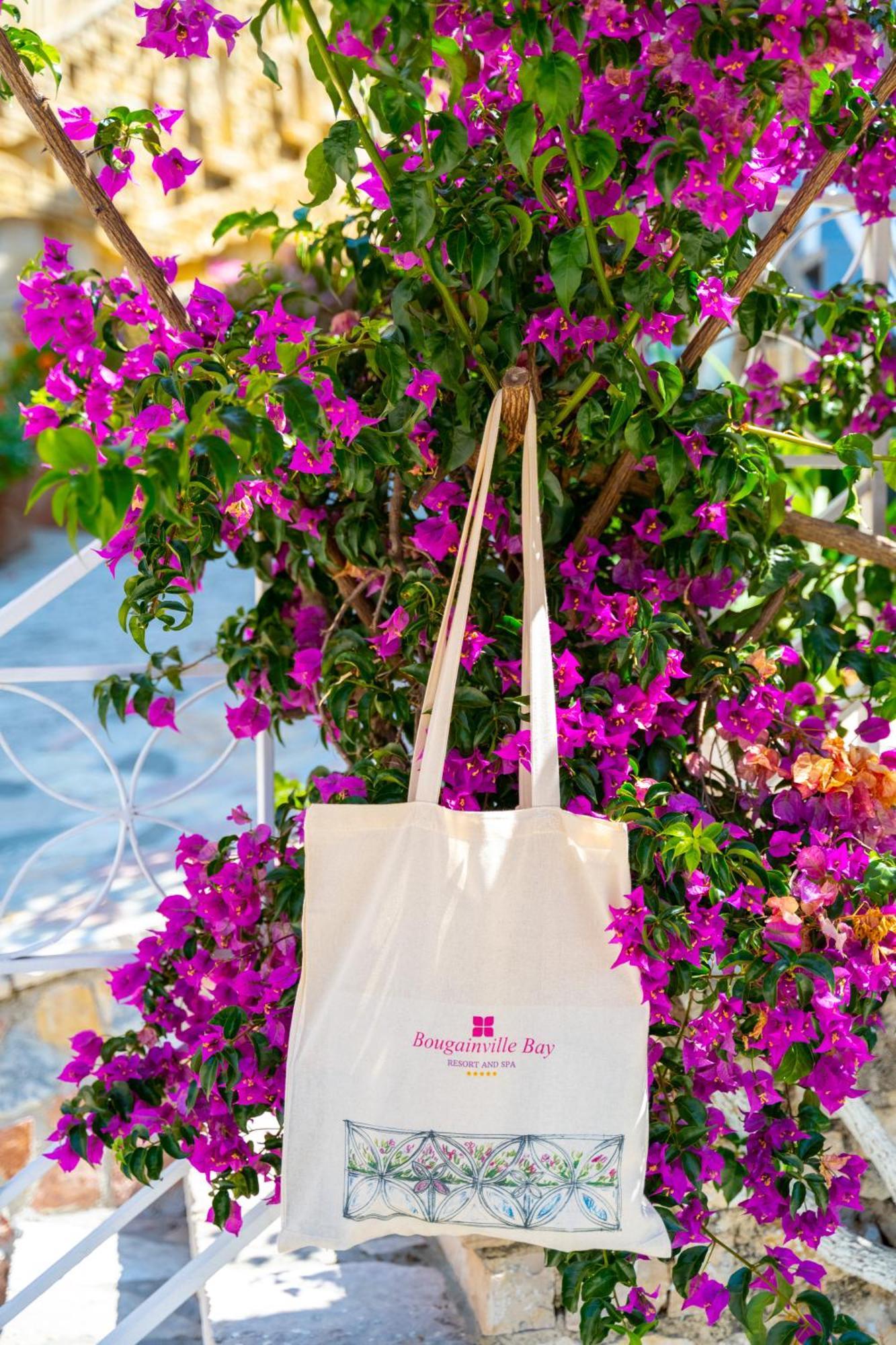 Bougainville Bay Hotel Sarande Luaran gambar A tote bag